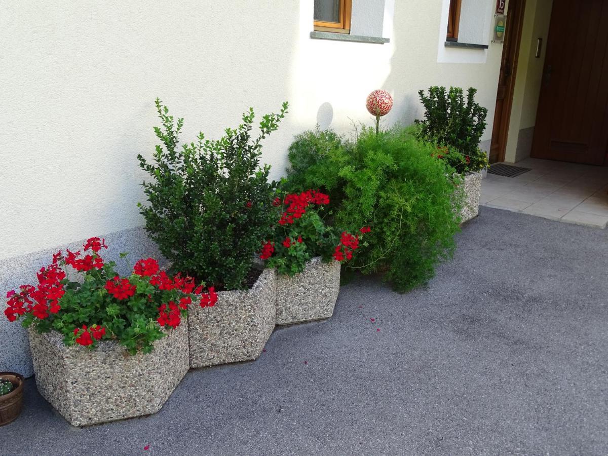 Appartement Sylvester Matrei in Osttirol Exterior photo